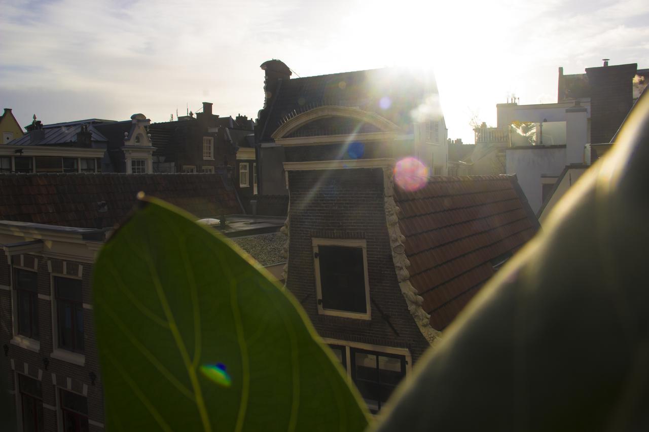 Attic Monkeys Lodge Amsterdam Dış mekan fotoğraf